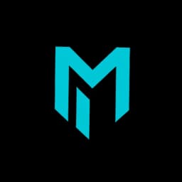 Iron Margin logo