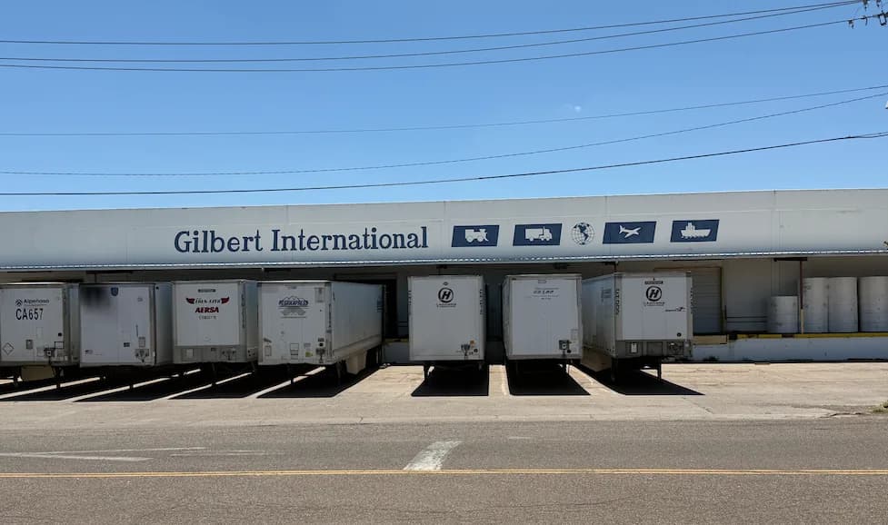 Gilbert International